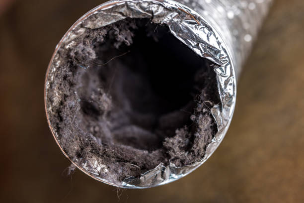 Best Commercial Air Duct Cleaning  in Wainaku, HI