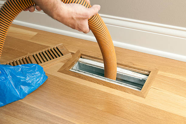 Best Affordable Air Duct Cleaning  in Wainaku, HI